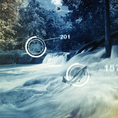 Ask a Caltech Expert: Machine Learning for Conservation