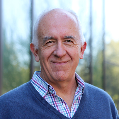 Pietro Perona